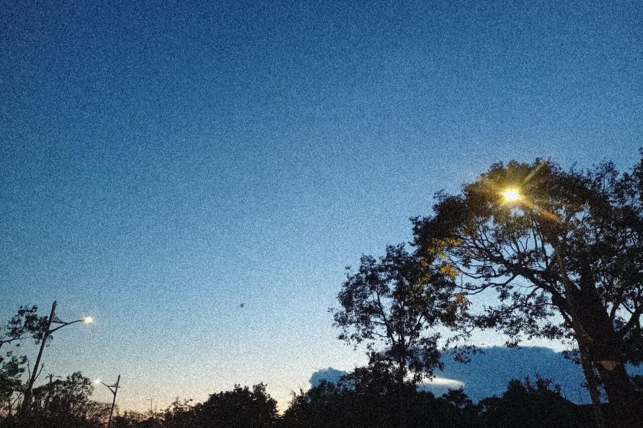 An evening photograph capturing a blue sky above silhouetted trees and distant streetlights