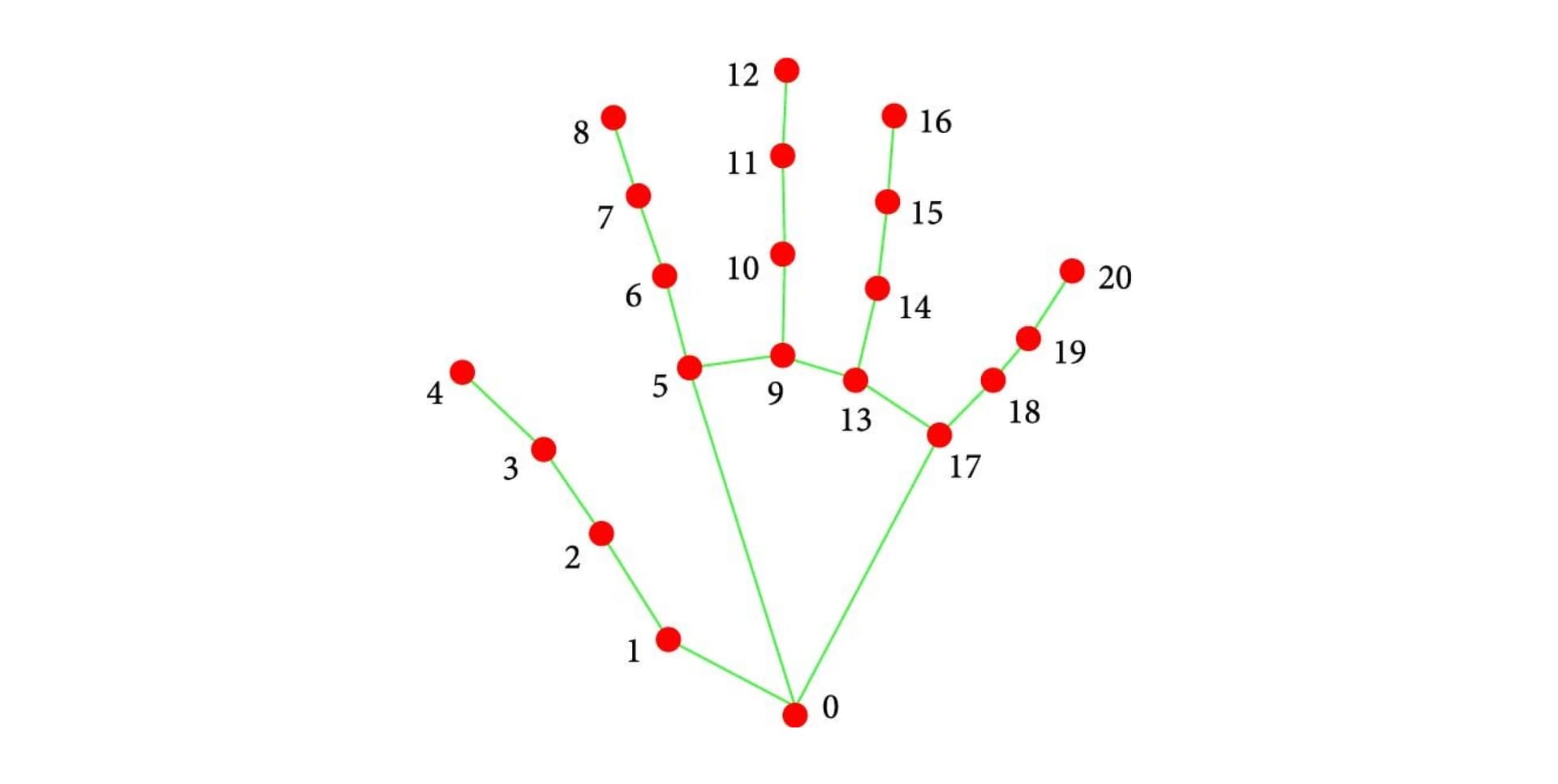 Coordinates of the 21 hand joints.