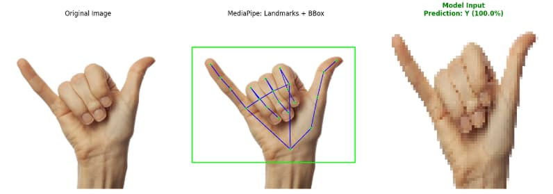 An image showing letter Y gesture is processed with MediaPipe landmark and BBox before fit into the model.