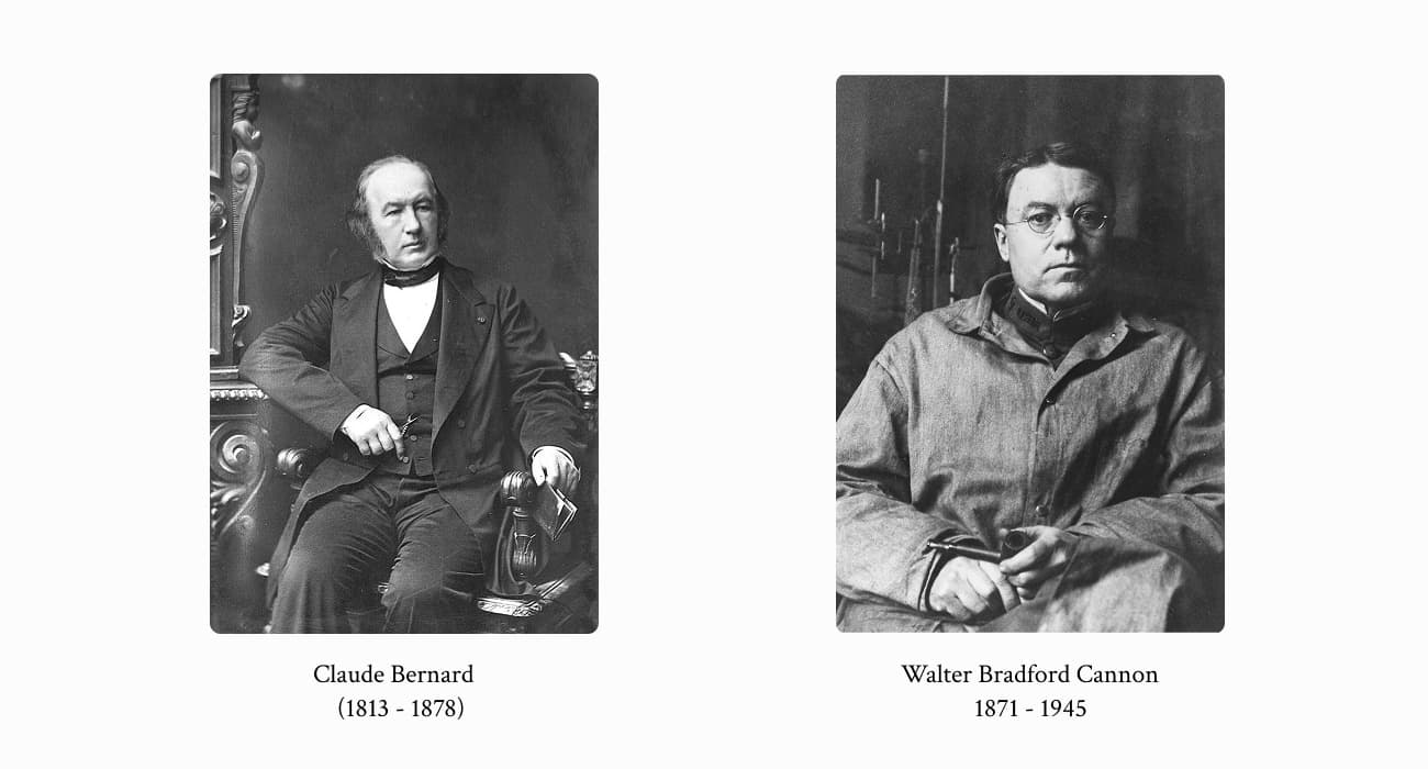 Left:Claude Bernard (1813-1878). Right: Walter Bradford Cannon (1871-1945)